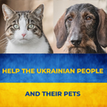 Nieuwsbrief - Hulp voor de Oekraïense vluchtelingen