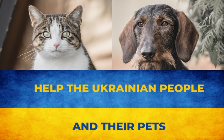 Hulp voor de Oekraïense vluchtelingen